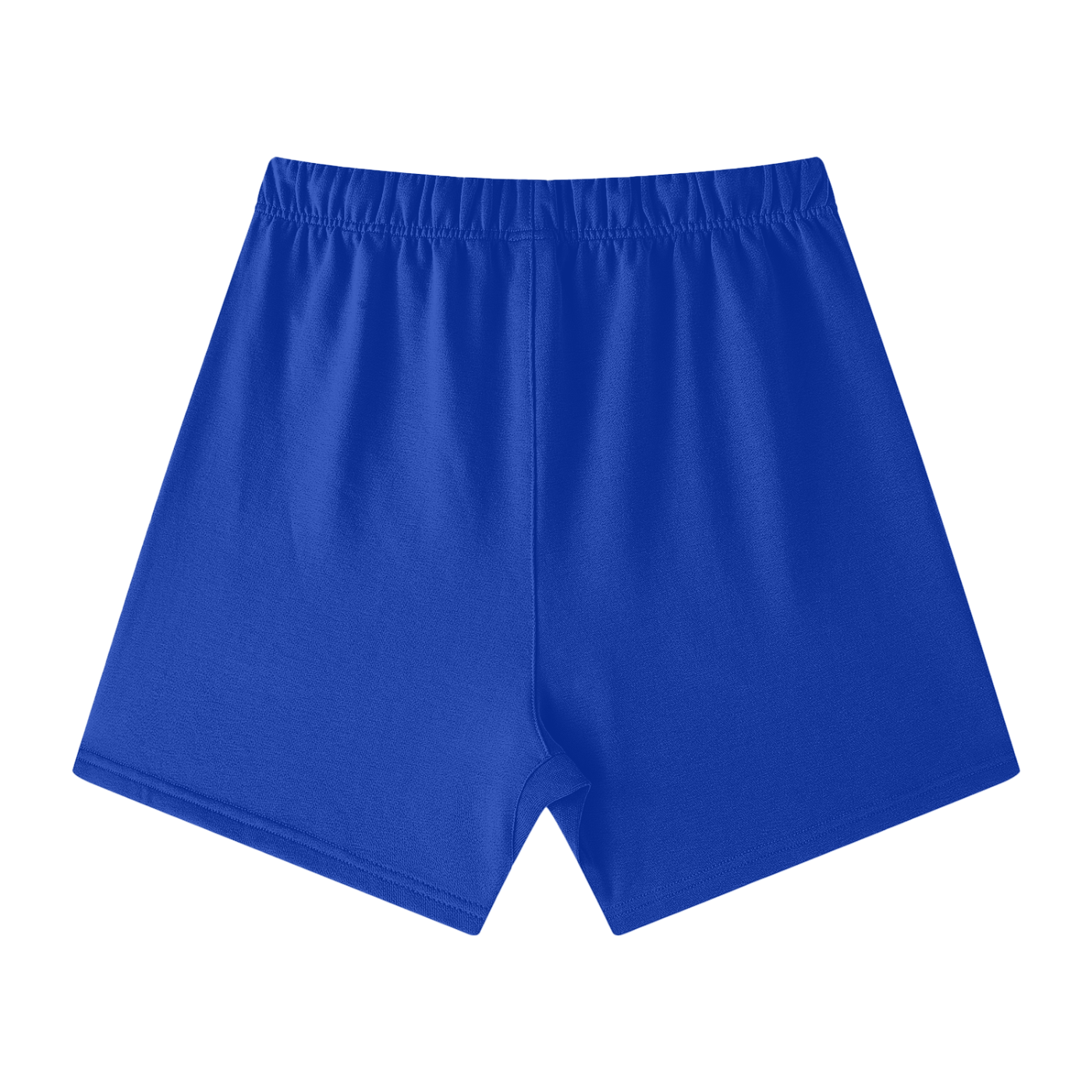 NH Unisex Heavyweight Shorts